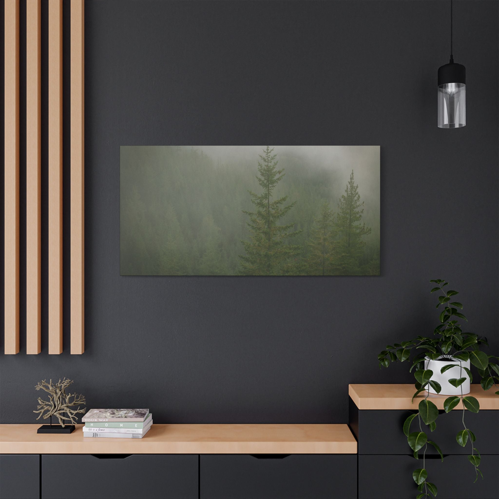 Fog in the Piney Greens – Squamish, BC