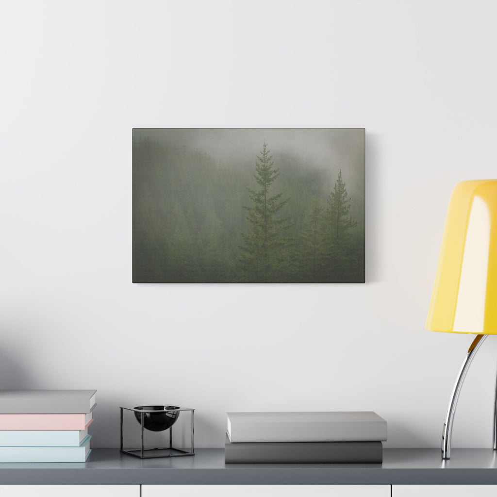 Fog in the Piney Greens – Squamish, BC